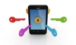 Malicious code reset