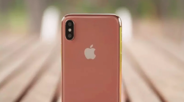 Apple's Blush Gold iPhone X